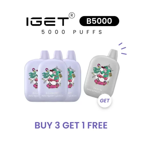 Buy 3 Get 1 Free – IGET B5000 PUFFS